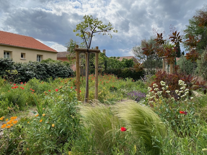 Garten in Südfrankreich, Languedoc